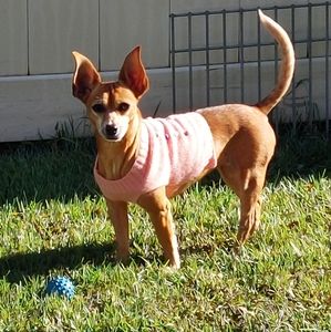 Meet your Posher, Melissa